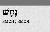 245.webp