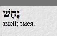 245.webp